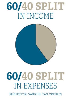 pie chart with a 60/40 split in income and expenses