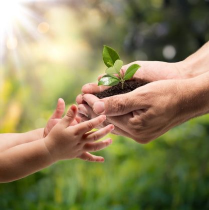 an adult hands a sprouting plant to a young child