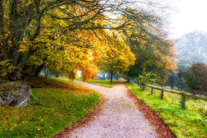 A fork in the road on an idyllic autumn day.