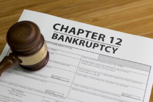 Documents for filing bankruptcy Chapter 12